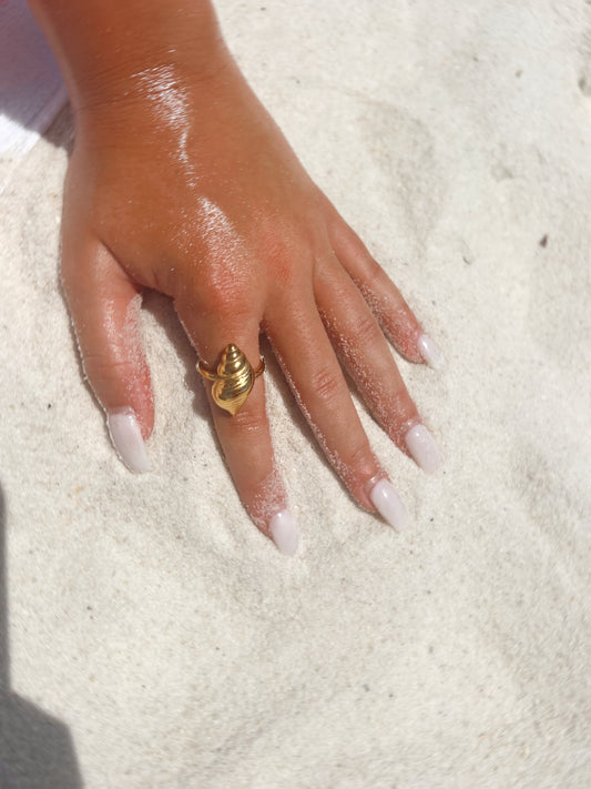 Shell Ring
